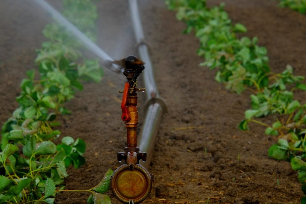 water sprinkler, irrigation, field-880965.jpg